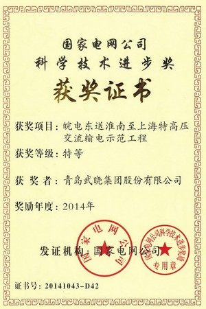 科學(xué)技術(shù)進(jìn)步獎(jiǎng)-國網(wǎng)公司